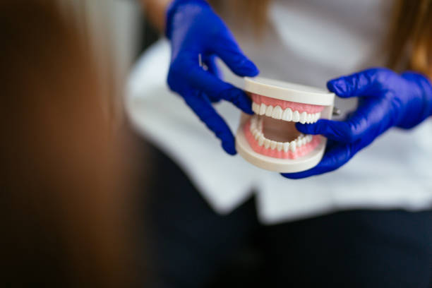 Professional  Holistic Dental Services in Seymour, TX